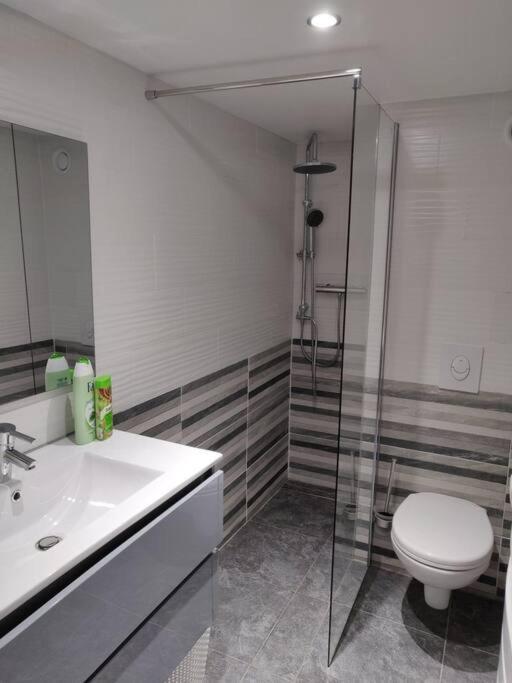 Appartement Le business, duplex moderne special PRO de passage à Sarreguemines Extérieur photo